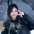 tzuyu  trini
