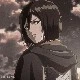 Mikasa