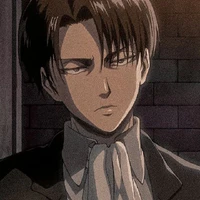 Captain Levi