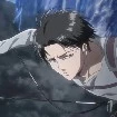 Levi