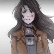 Y/N