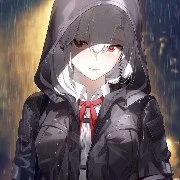 Y/N