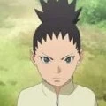shikadai