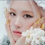 Rosé
