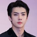 Sehun (tangan kanan BB)