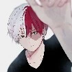 Todoroki
