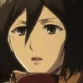 Mikasa