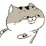 Younger Meow
