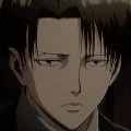 Levi
