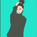 Shikadai