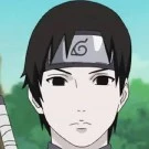 sai