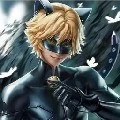 Chat Noir