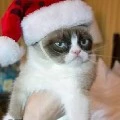 Meow