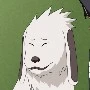 akamaru