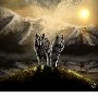 lobo 3