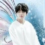 V/tae