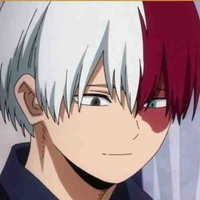 Shoto Todoroki 