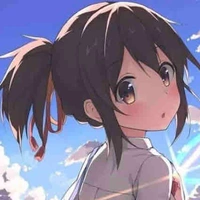 Y/N