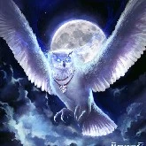 Moon(Alex/Lucas)