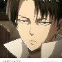 levi