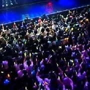 Crowd
