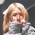 Kwon Rose