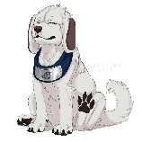Akamaru