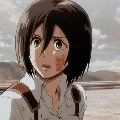 Mikasa