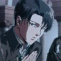 Levi