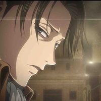 Levi