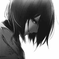 Mikasa