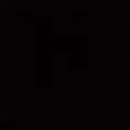 Voice