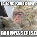 moyed tukang spam