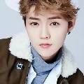 Luhan (kk angkat/tangan kanan lisa)