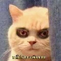 เนื้อ