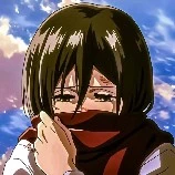 mikasa