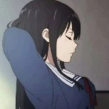 Y/N