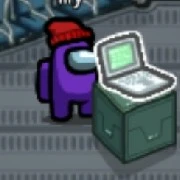 lily(purple)