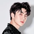 Sehun(kk angkat+sekretaris)