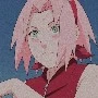 Sakura haruno.