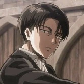 Levi