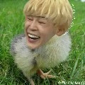 mOcHiCk