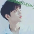 จิมเบ (ลูกดีไซเนอร์ชื่อดัง)