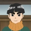 metal lee