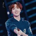 hobi