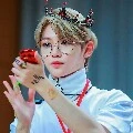 Felix lona