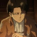 Levi