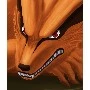 kurama(kiubi)