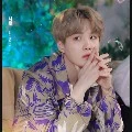 Suga