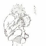 Narrator person
